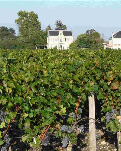 Le Médoc - Hôtel des Francs Garçons - Saint-Sauvant